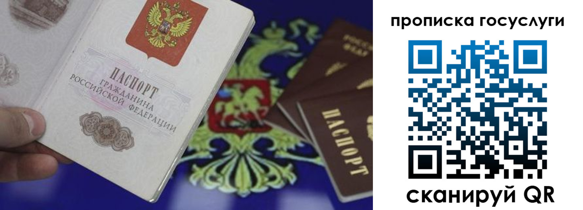 прописка для школы в Выборге